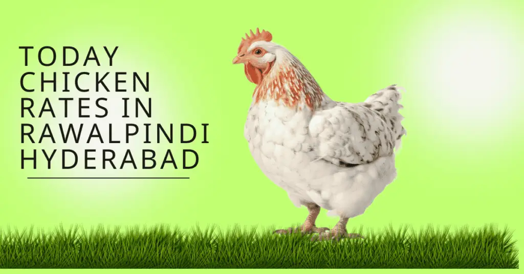 Today's Chicken Rate In Hyderabad