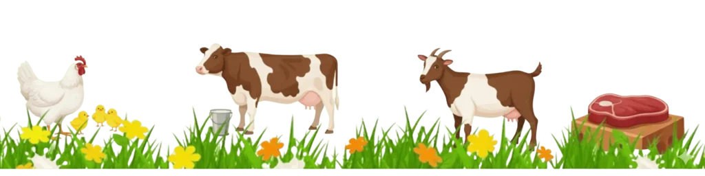 Today Chicken Rate In Pakistan